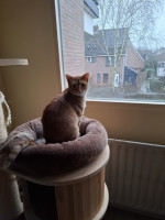 /album/198/whatsapp-image-2026-02-23-at-21-24-16-jpeg/